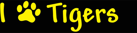 Tiger Bracelets
