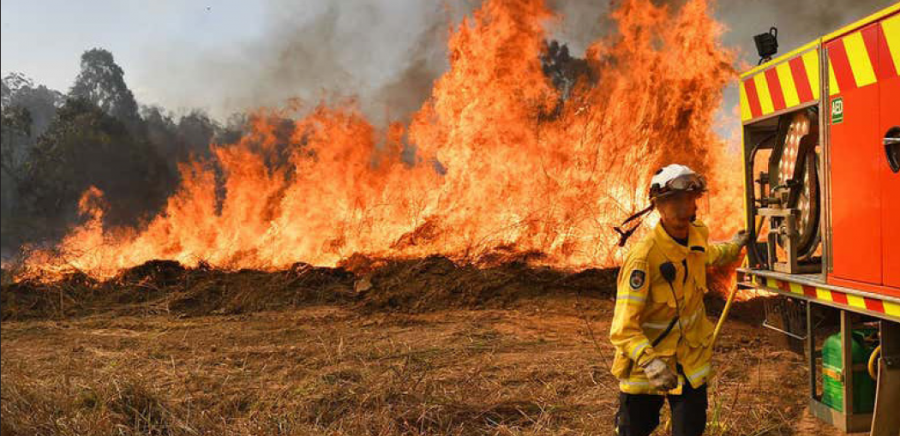 Firefighters and rescuers are fighting bushfires as much as possible, but the fires are continuing to spread across the continent. Image courtesy of Shutterstock.
