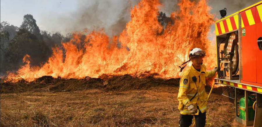 Firefighters+and+rescuers+are+fighting+bushfires+as+much+as+possible%2C+but+the+fires+are+continuing+to+spread+across+the+continent.+Image+courtesy+of+Shutterstock.