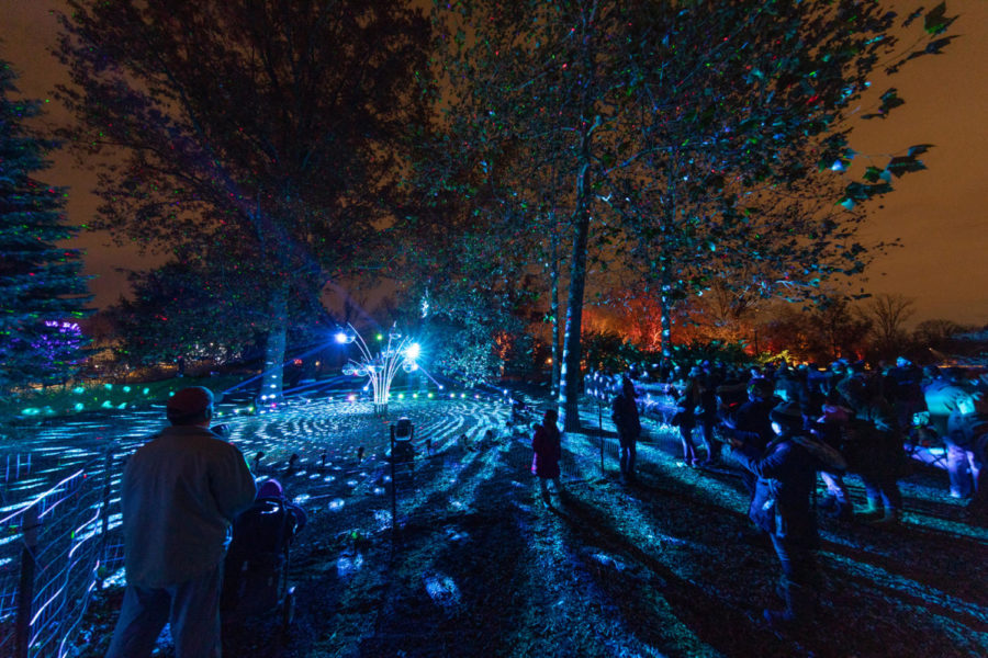 The Morton Arboretum in Lisle hosts their Christmas lights show entitled Illuminations. The event will be held through January 2. Photo courtesy of The Morton Arboretum. 